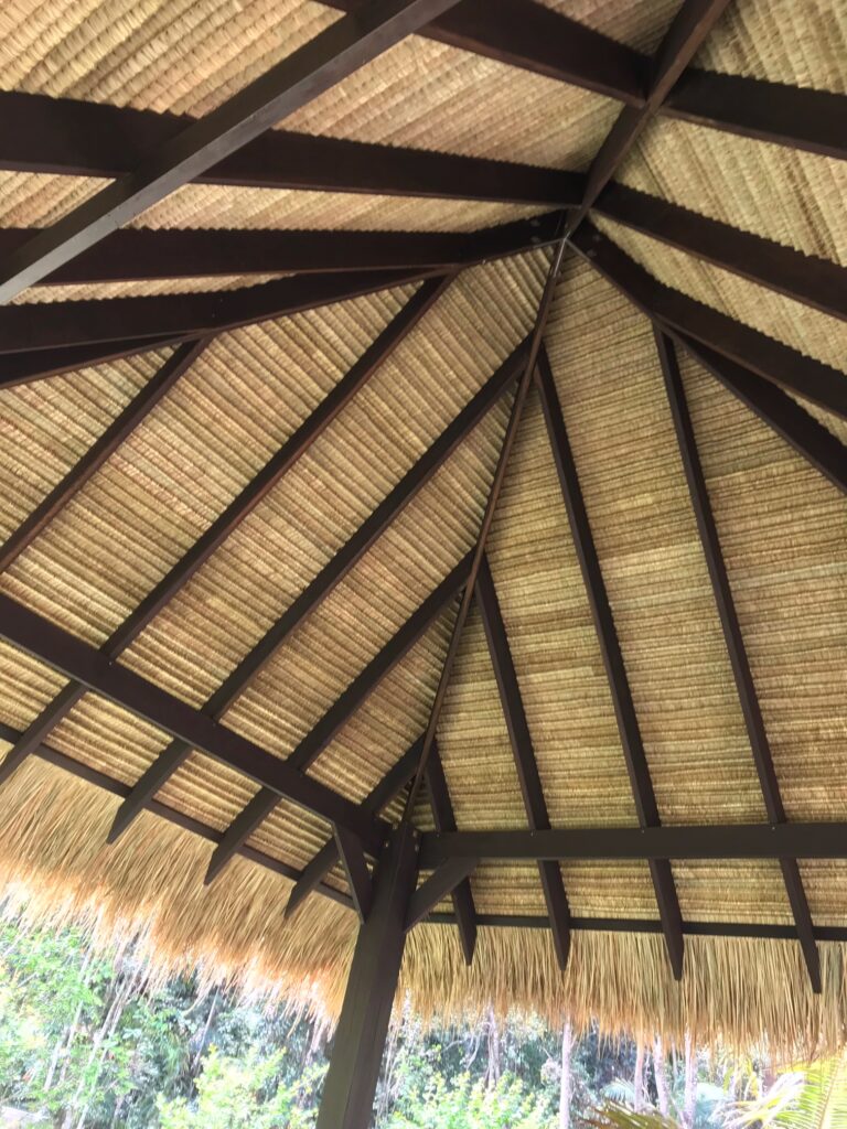Bali thatch internal