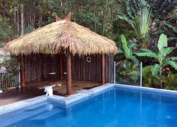 Tropical backyard with pool and a bali hut